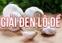 cách giải đen lô đề