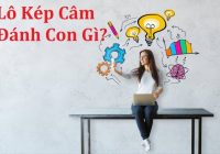 lo kep cam danh con gi