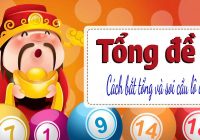 cách bắt tổng đề
