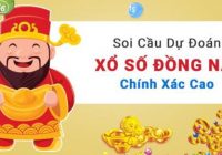 Soi cầu Đồng Nai chuẩn nhất